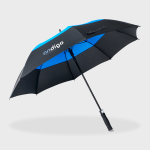 Dual-Tone Auto-Open Umbrella
